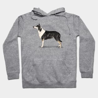 The Tri Colour Smooth Collie Hoodie